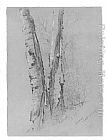 Jervis McEntee Study of Birch Trunks (Scribners') painting